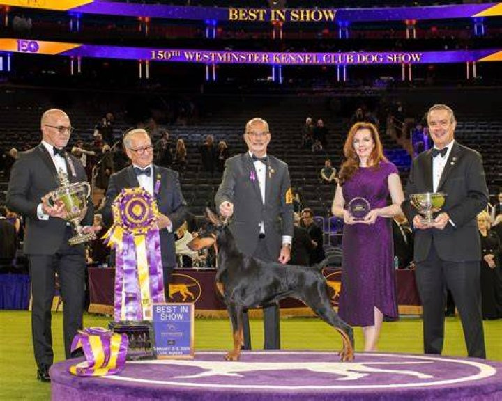 2018 Westminster Kennel Club Dog Show, New York, USA