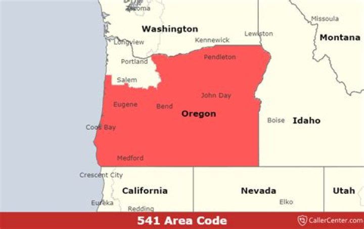 61662541