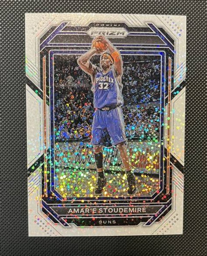 Amare-Stoudemire-rex-5
