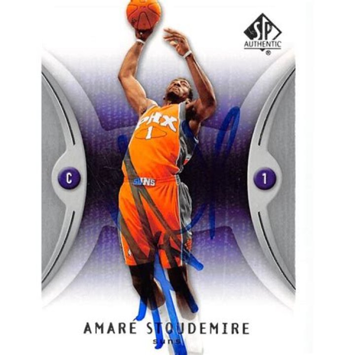 Amare-Stoudemire-rex-8