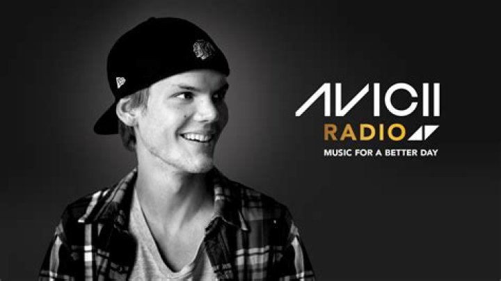 Avicii at the at the New Look Wireless Festival