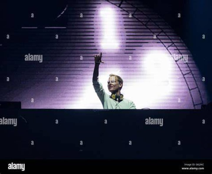 Avicii performs live