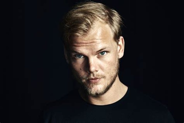 Avicii portrait