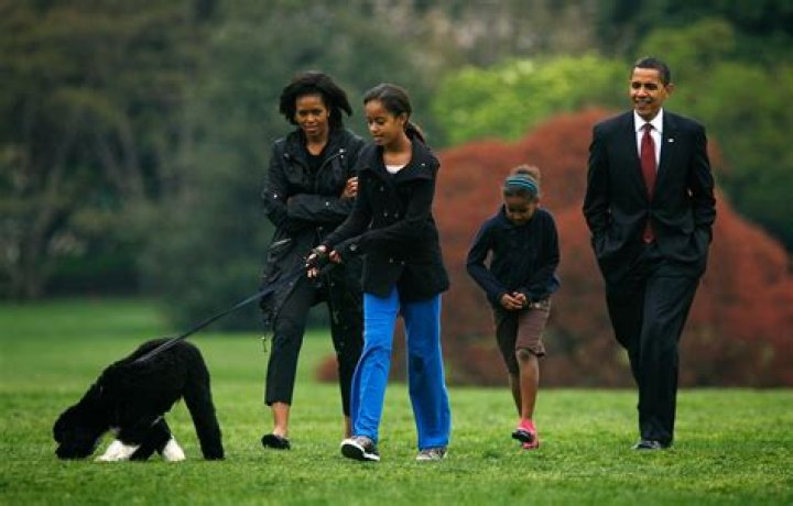 Barack Obama and Bo look out a car window