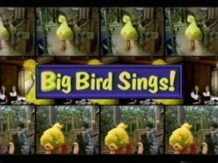 BIG BIRD SINGS, NEW YORK, USA