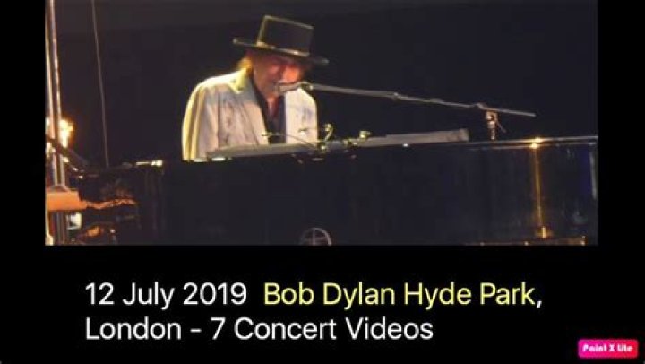 Bob Dylan At Hyde Park Concert
