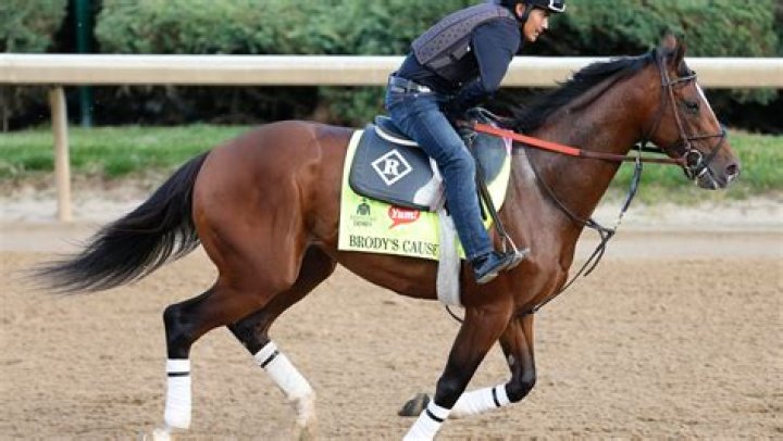 Brodys-Cause-kentucky-derby