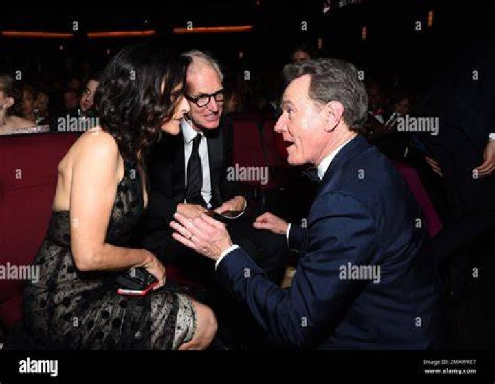 Bryan Cranston & Julia Louis-Dreyfus &mdash; 2014