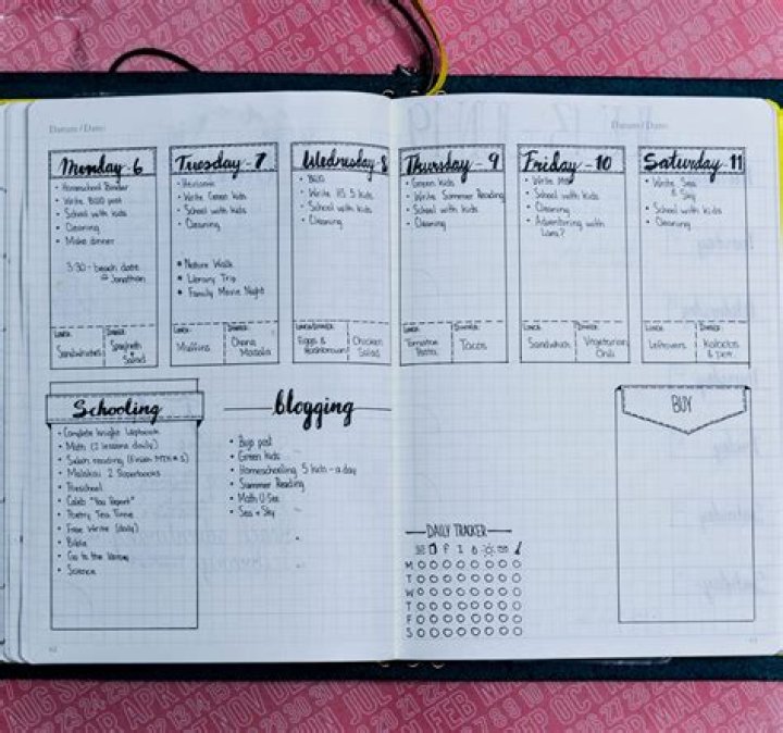 Bullet Journal Page Examples