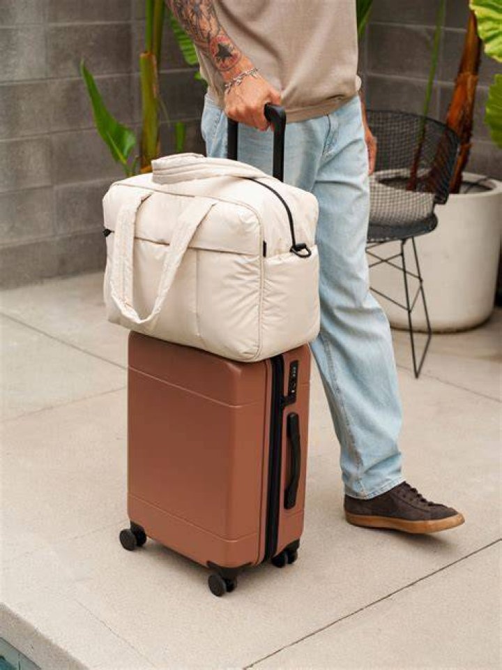 Calpak carry-on
