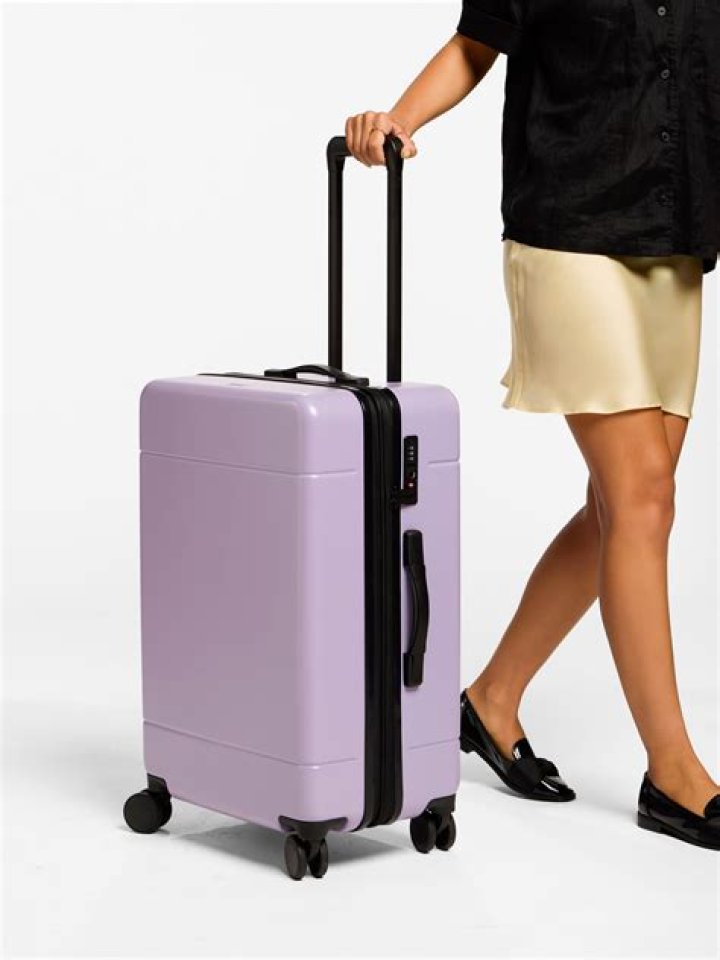 Calpak luggage