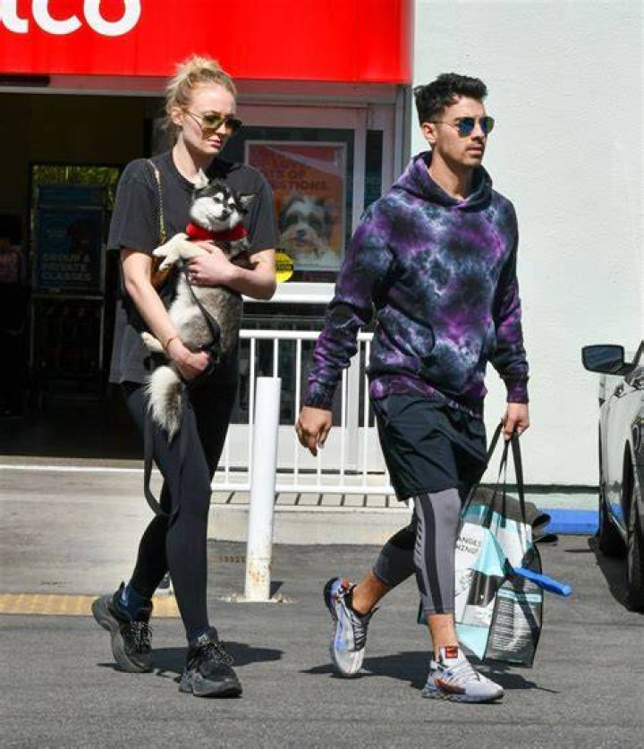 celebrity-pets-joe-jonas-dog-lola
