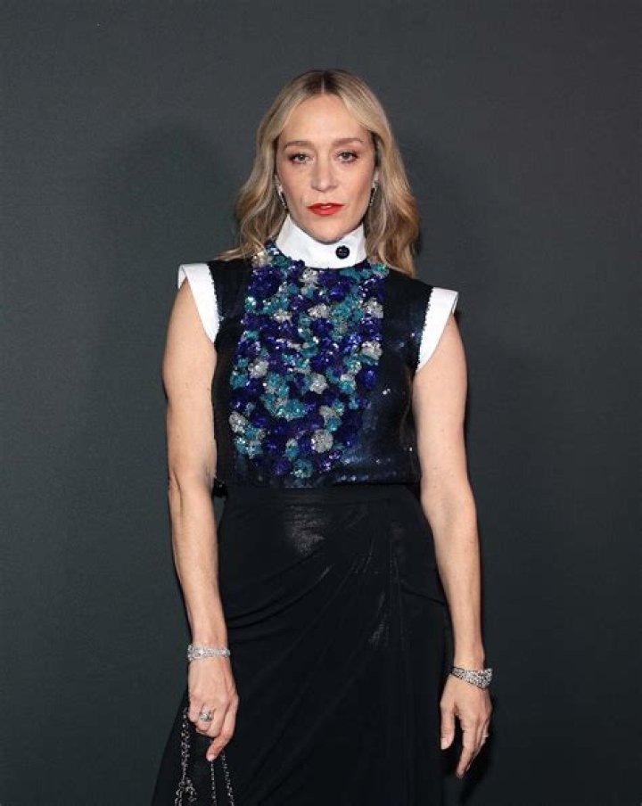 Chlo&euml; Sevigny