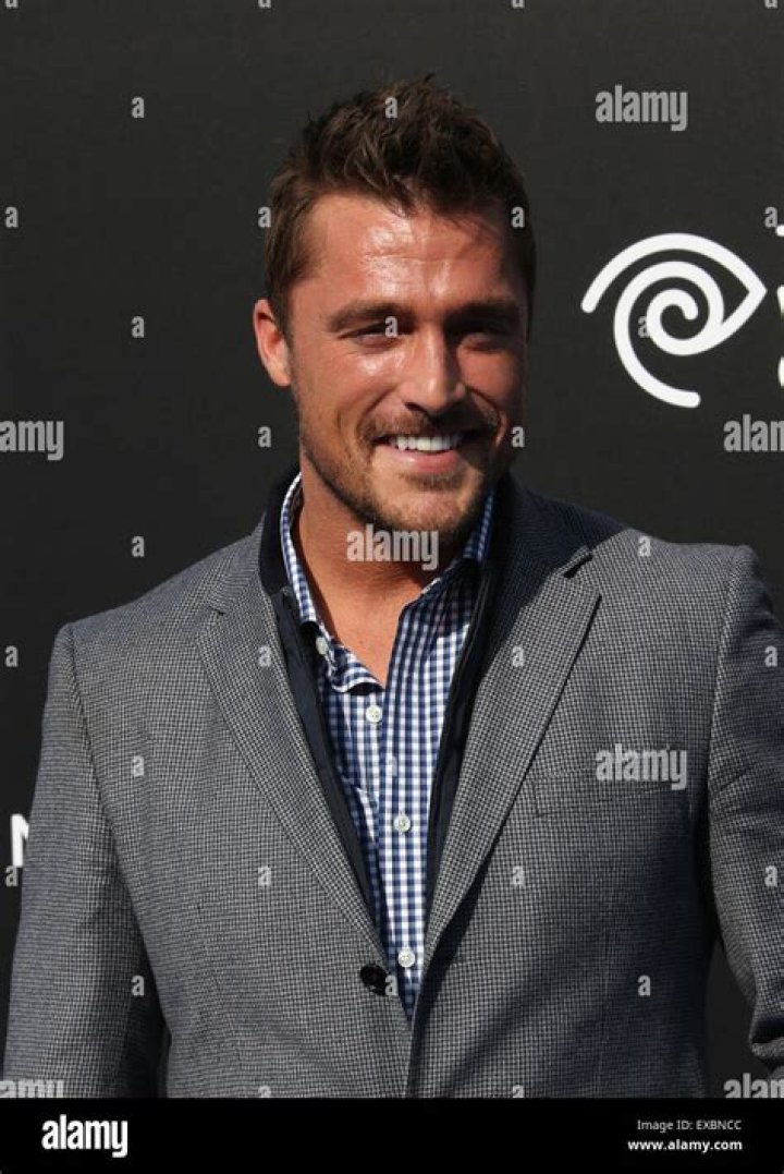 Chris Soules at Disney&rsquo;s ABC Winter TCA Press Tour in LA