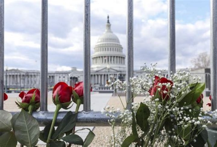 Citizens Leave Roses Outside The Capitol Building