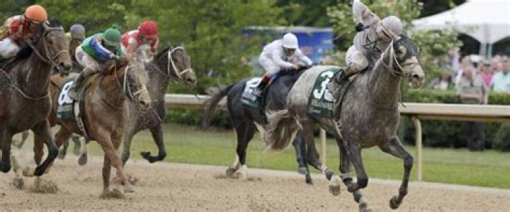 Creator-kentucky-derby