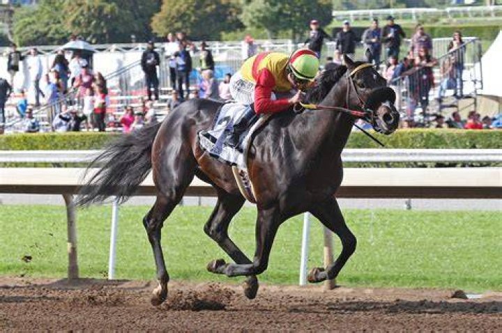 Danzing-Candy-kentucky-derby