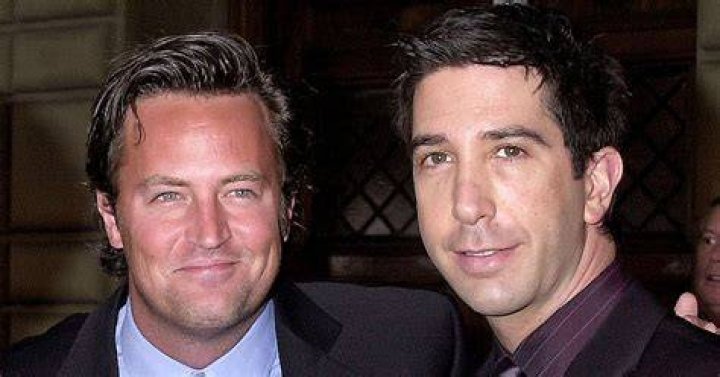 David Schwimmer Matthew Perry