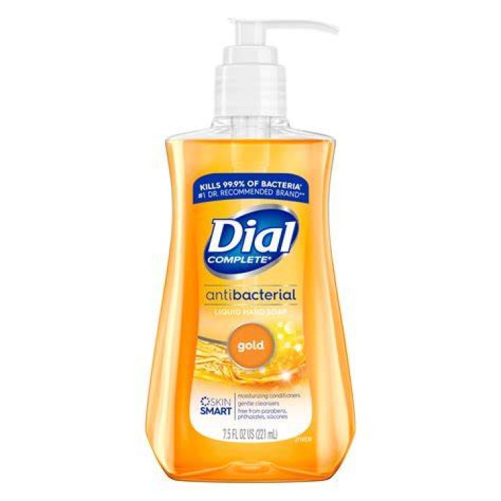 Dial Complete Antibacterial Liquid Hand Soap in Spring Water, $1.49, Target.com