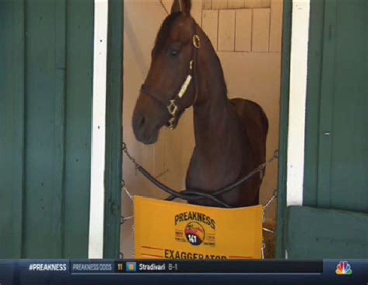 dixie-grand-arches-preakness-2016-2
