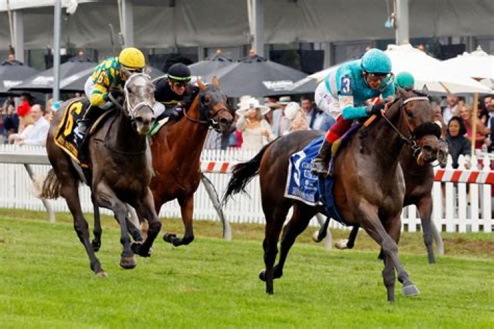 dixie-race-preakness-6-2016