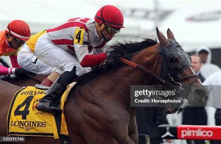 dixie-takeover-target-preakness-2016