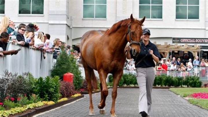 dixie-winner-preakness-2016