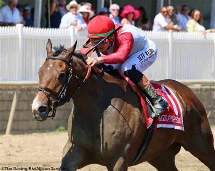 dixie-winner-ring-weekend-preakness-2016-2