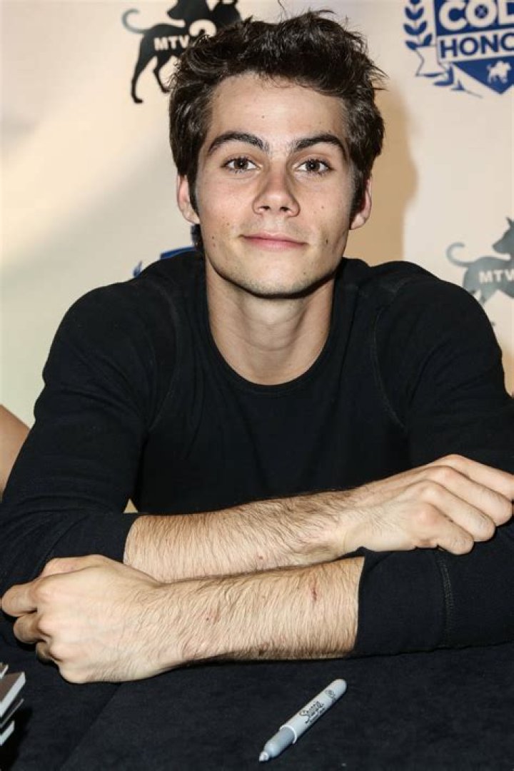Dylan O'Brien and Tyler Posey 'Teen Wolf' TV show panel, Comic-Con International, San Diego, USA - 20 Jul 2017