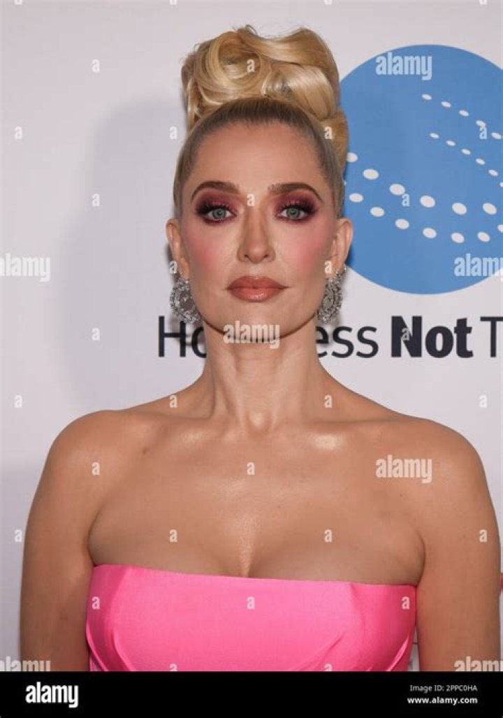 Erika Jayne At The Homeless Not Toothless 2023 Gala