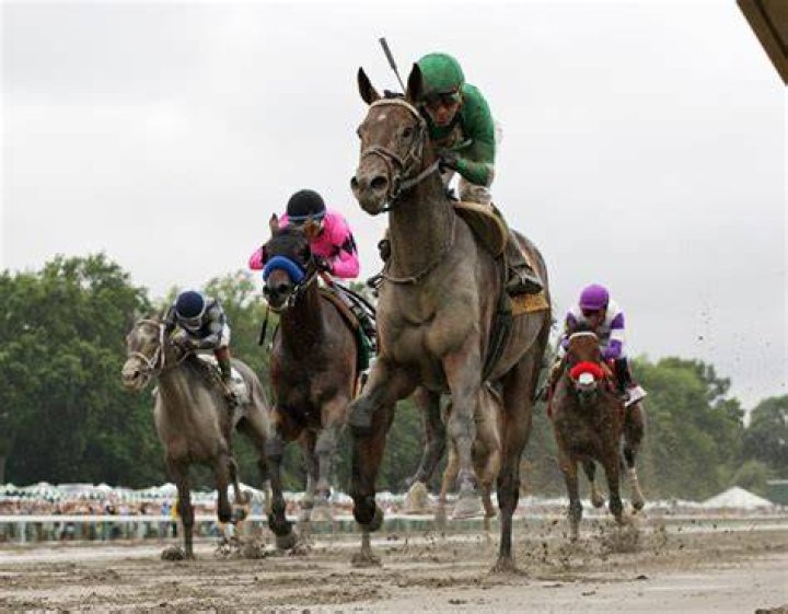Exaggerator-kentucky-derby