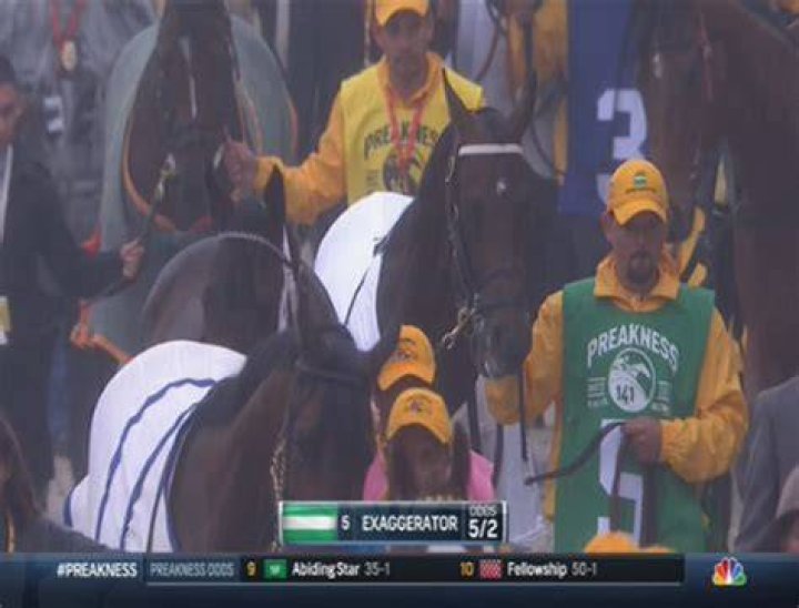 exaggerator-preakness-2016