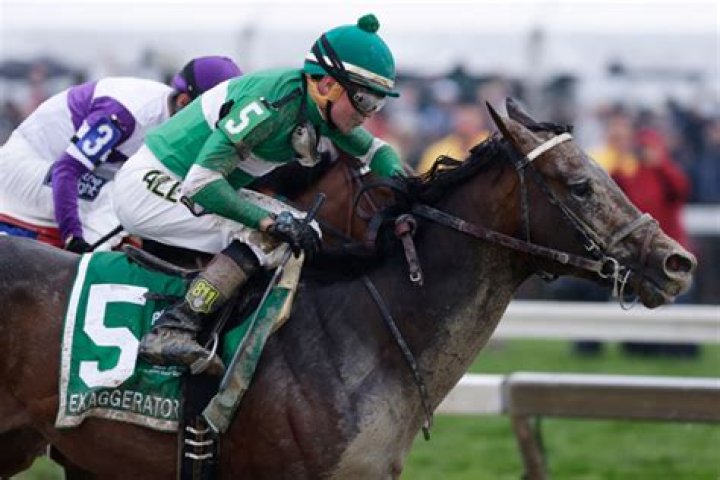 exaggerator-wins-preakness-stakes-ftr