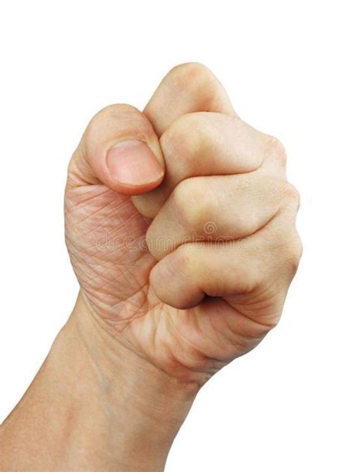 &lsquo;FIST&rsquo;