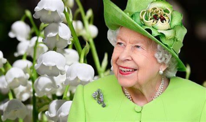 Flowers For The Queen