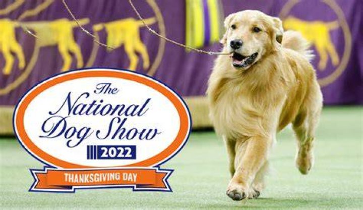 Giving Back on National Dog Day: Actor Chris Evans & Jinx Dog Food Join Forces To Give Back to Dog Shelters Across the Country