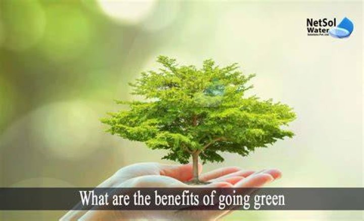 Going Green