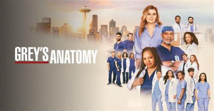 GREY&rsquo;S ANATOMY - ABC&rsquo;s &ldquo;Grey&rsquo;s Anatomy&rdquo; stars Nicko Terho as Lucas Adams, Midori Francis as Mika Yasuda, Adelaide Kane as Jules Millin, Alexis Floyd as Simone Griffith and Harry Shum Jr. As Daniel &ldquo;Blue&rdquo; Kwan. (ABC/Nino Mu&ntilde;oz)