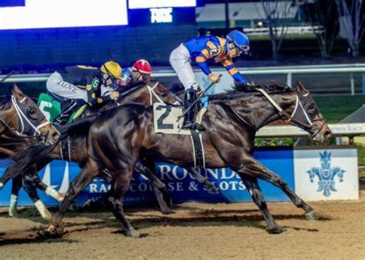 Gun-Runner-kentucky-derby