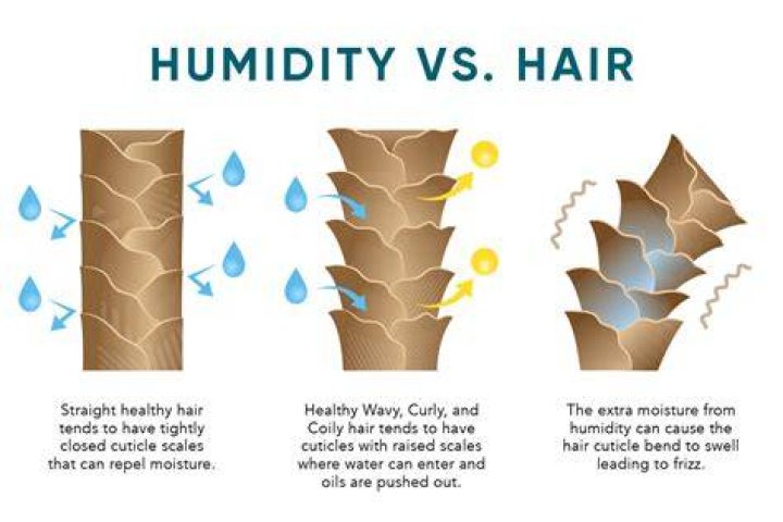hair in humidity