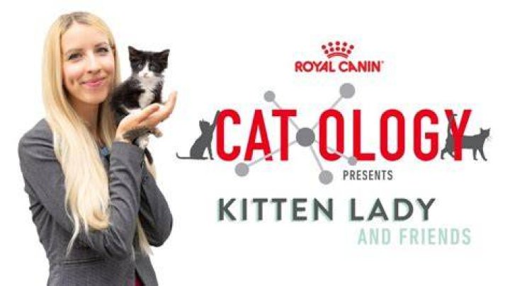 Hannah Shaw Partner With ROYAL CANIN For Take Your Cat To The Vet Day