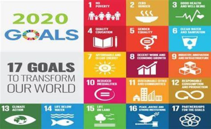 Her Goals For 2020