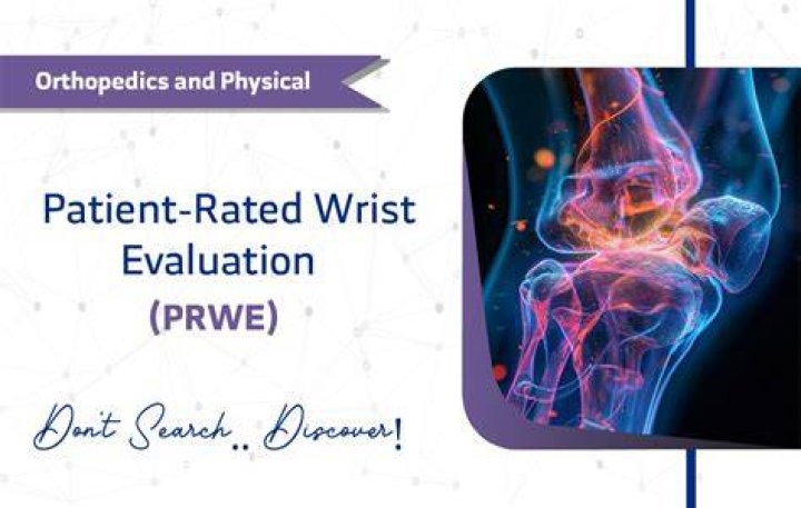 highly rated ankle and wrist weights