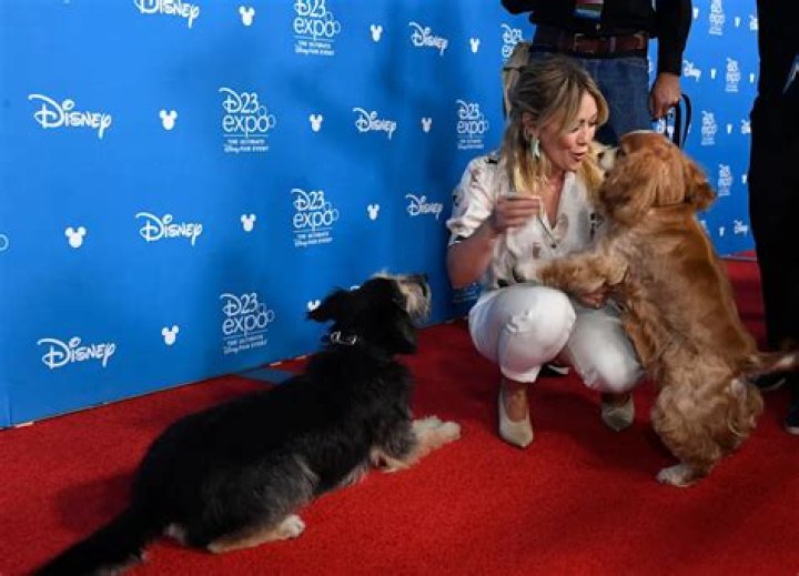 Hilary Duff Meets Lady and the Tramp