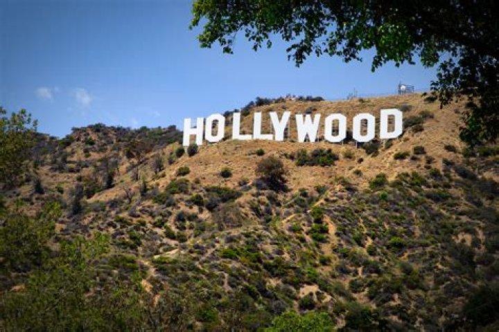 &lsquo;Hollywood&rsquo;