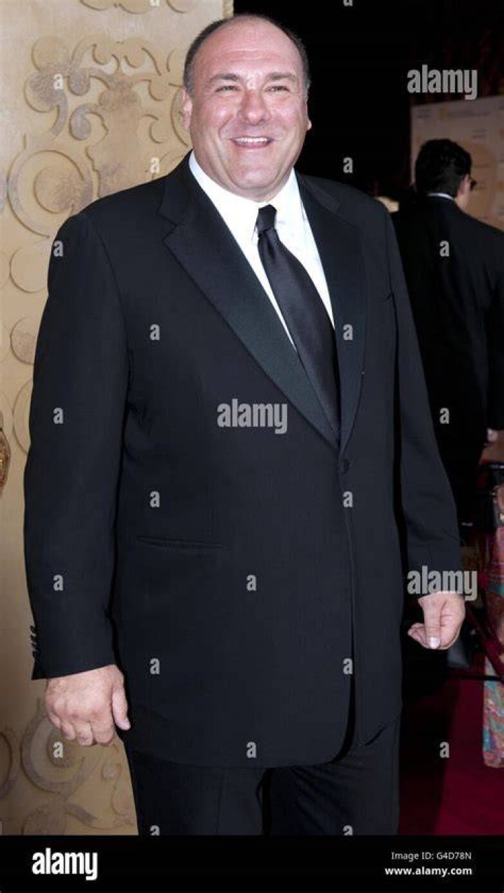 James Gandolfini BAFTA 'Brits To Watch' event, Belasco Theatre, Los Angeles, Royal Tour, California, America - 09 Jul 2011