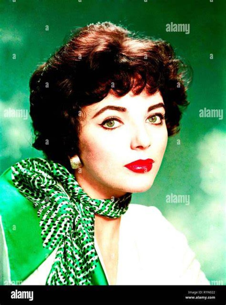 Joan Collins Hollywood Photo Archive