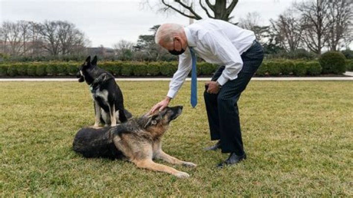 Joe Biden & Champ