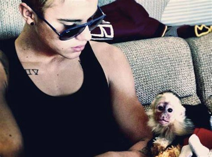 Justin Bieber Adopts Monkey