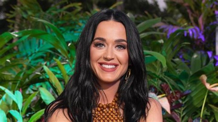 Katy Perry Covering Her Stomach In A Navy Dress